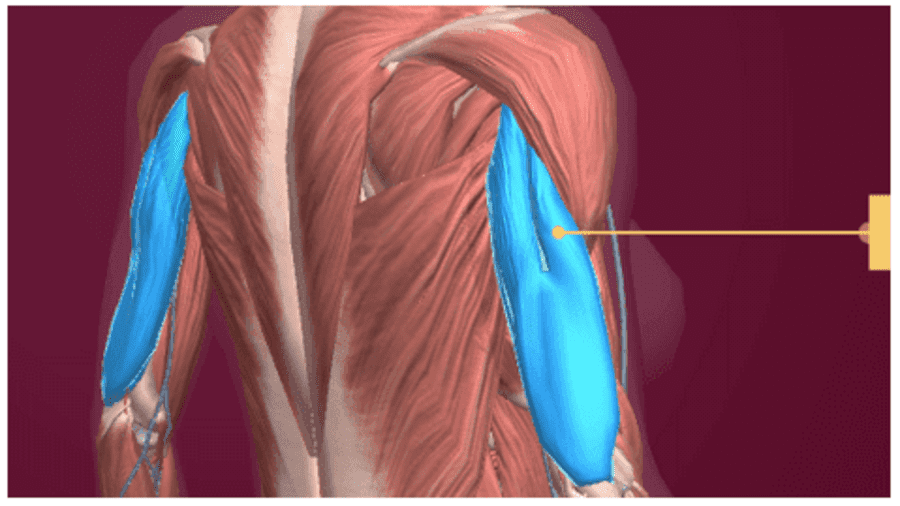 QUY TRÌNH KỸ THUẬT PHẪU THUẬT THƯƠNG TÍCH PHẦN MỀM CÁC CƠ QUAN VẬN ĐỘNG