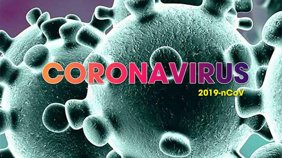 Đại cương về Corona Virus